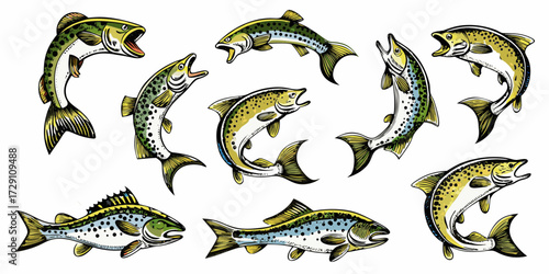 Collection of colorful illustrated trout fish in various dynamic poses on a white background