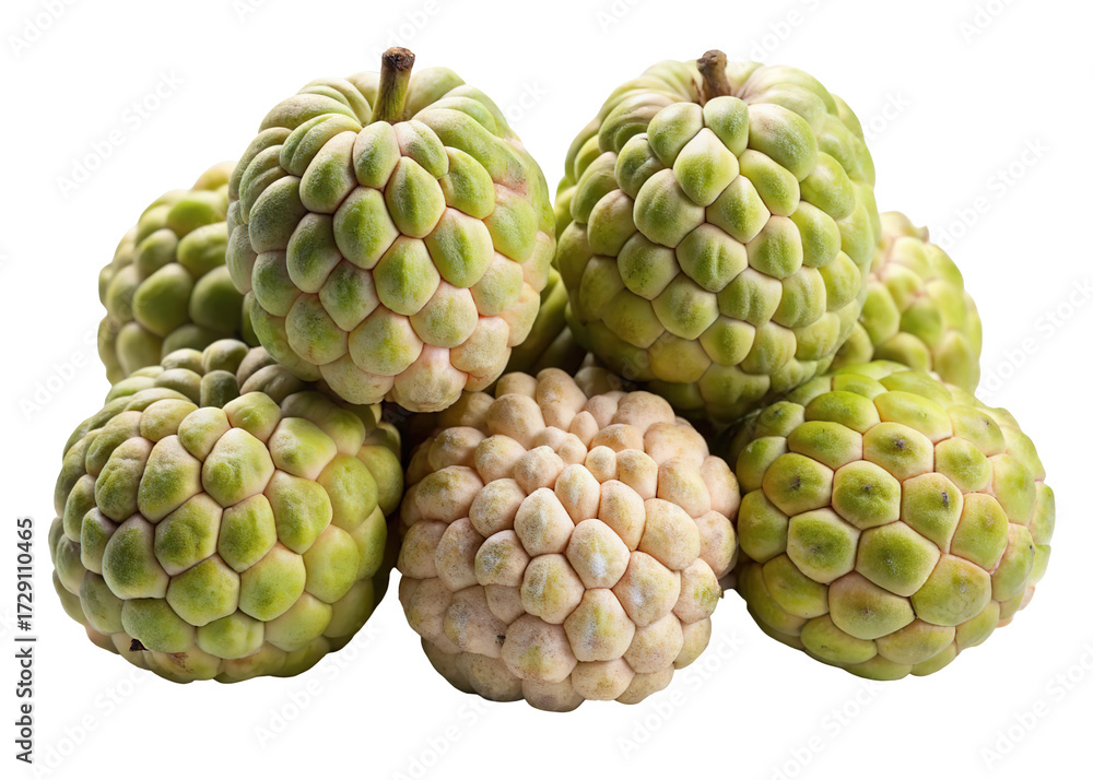 Obraz premium A cluster of fresh custard apples with unique scaly green and creamy white skin isolated on transparent background