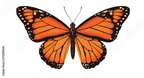 Monarch Butterfly Illustration Colorful Insect on White Background