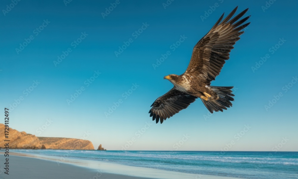 Naklejka premium Eagle soaring over a beach. Clear blue sky. Ocean waves