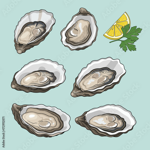 Fresh oysters with lemon wedge and parsley garnish.