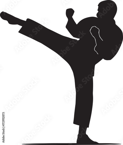 Silhouette of a martial artist performing a dynamic side kick in a karate uniform