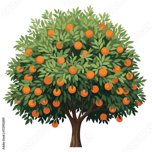A lush green tree laden with ripe oranges.