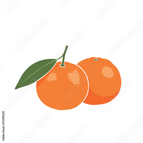 Two ripe oranges with a green leaf on a white background.
