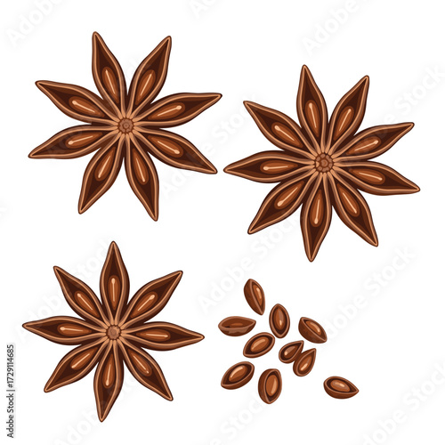 Star anise spice collection for culinary use.