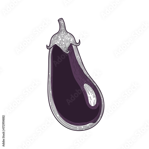 An illustration of a ripe eggplant ready for cooking.