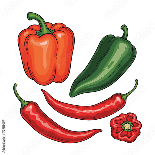 A vibrant assortment of fresh peppers displaying varied shapes and colors.