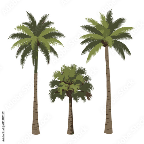Tropical palm trees sway gently in the warm breeze on a sunny day.