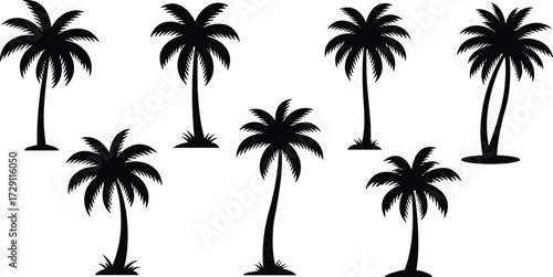 Palm tree silhouette vector set, tropical coconut palm clipart, black island beach trees illustration for summer, vacation, paradise, jungle design.