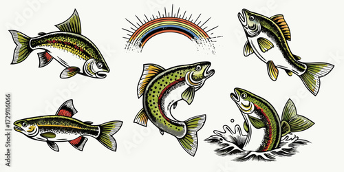 Collection of colorful trout and rainbow fish illustrations with a rainbow arc and water splash