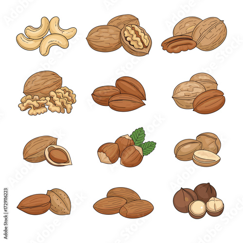 A collection of various healthy nuts and their shells.