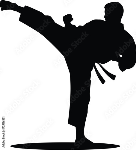 Martial artist performing high kick martial arts karate