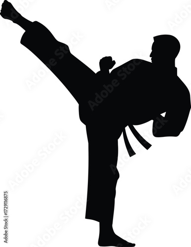 Martial artist performing high kick karate martial arts