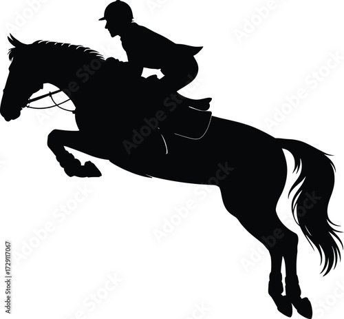 Horse rider jumping over obstacle equestrian sport