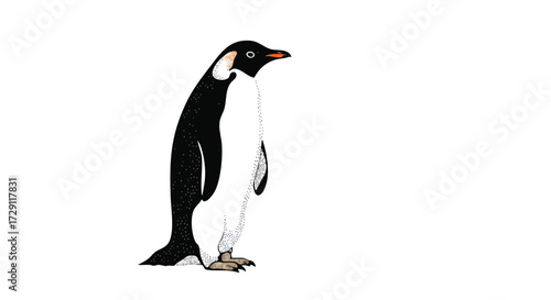 Elegant Penguin Illustration on White Background Nature Wildlife