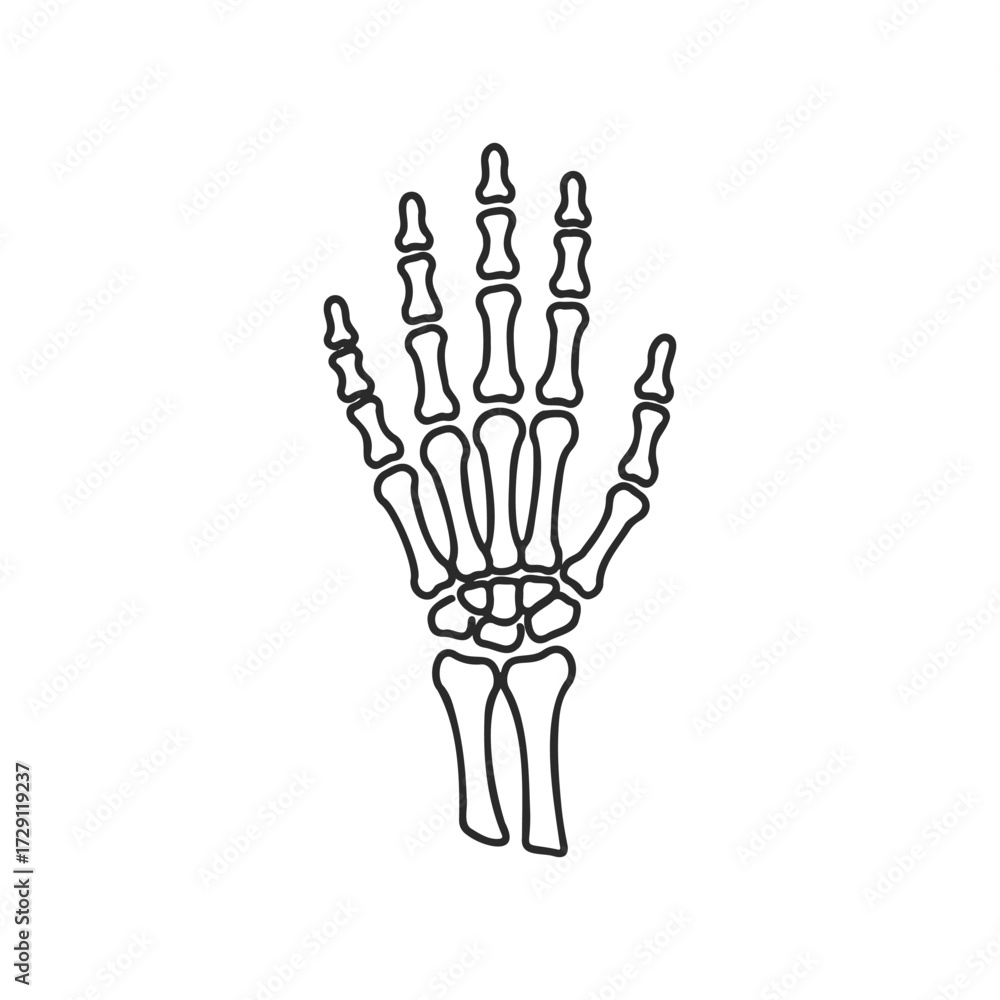 Fototapeta premium Black and white hand skeleton illustration on white background