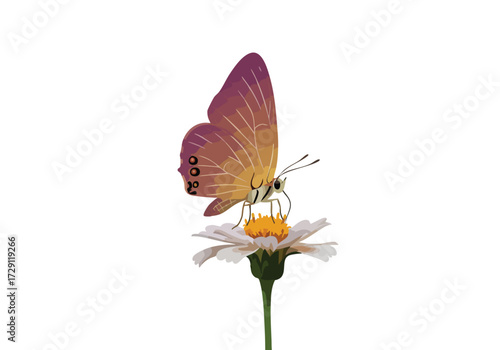 Butterfly Feeding on White Flower Isolated on White Background