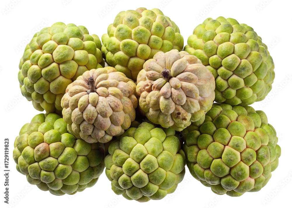 Fototapeta premium A cluster of ripe green custard apples with textured bumpy skin isolated on transparent background