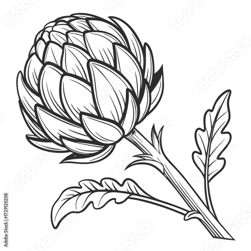 A detailed black and white line art illustration of a single fresh artichoke with leaves and stem isolated on a clean white background