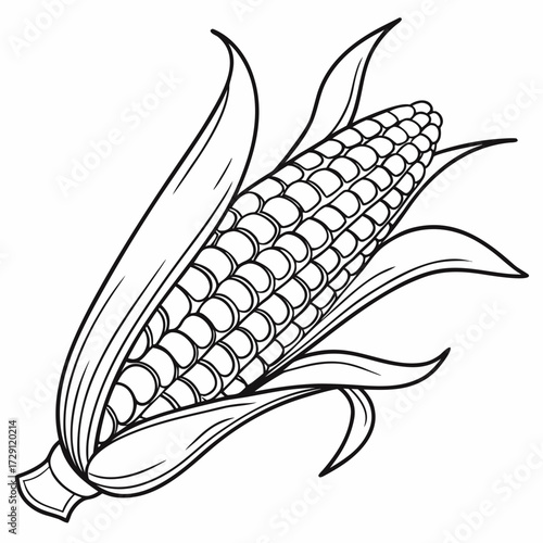 A detailed black and white line drawing illustration of a ripe ear of corn with its green husks peeled back to reveal the kernels