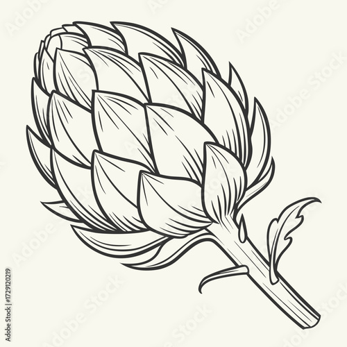 A detailed black and white line drawing illustration of a fresh artichoke with a stem and leaves on a light cream background