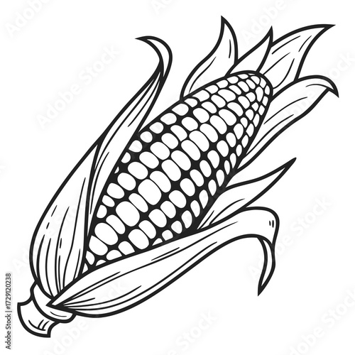 A detailed black and white line art illustration of a ripe ear of corn with its husks peeled back to reveal the kernels isolated on a white background
