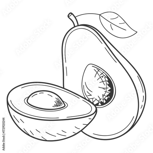 A detailed hand drawn line art illustration of a whole avocado and a halved avocado with its pit clearly visible on a white background