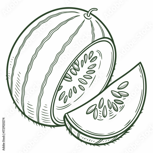 A detailed line art illustration of a whole watermelon cut in half revealing its juicy interior with seeds and a slice next to it on a white background