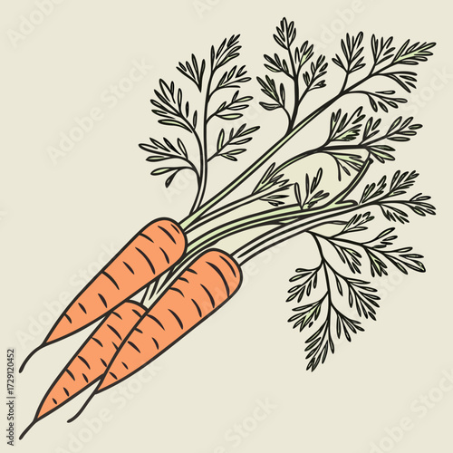 A simple hand drawn illustration of two vibrant orange carrots with green leafy tops presented against a neutral beige background evoking a fresh and natural feel