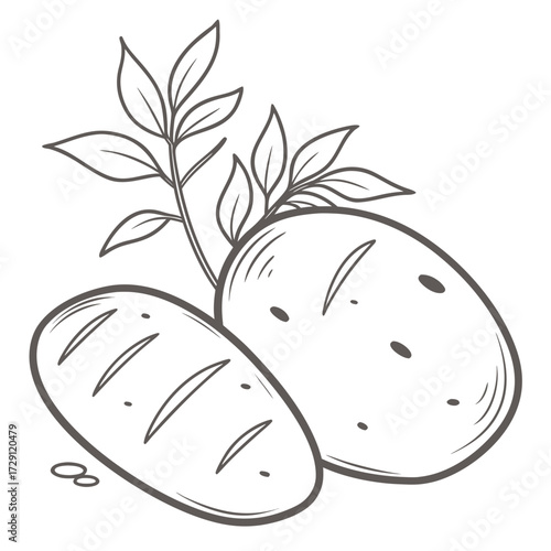 A simple hand drawn line art illustration of two potatoes with green leaves and a stem emerging from behind them on a white background