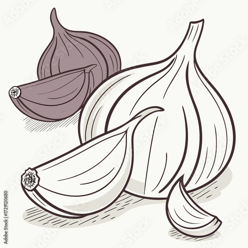 A stylized illustration of a whole bulb of white garlic and several cloves of purple garlic presented on a plain background with subtle shading and a clean outline style
