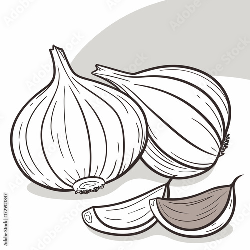 Stylized line art illustration of two whole garlic bulbs and three cloves on a white background with subtle gray shadow and curved accent
