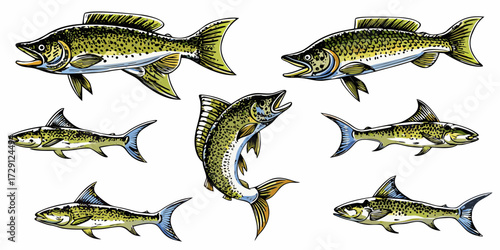 Collection of six different freshwater fish species in various poses against a white background