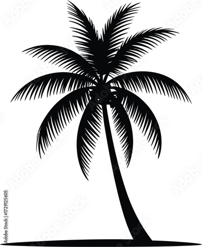Black palm tree silhouette tropical vector
