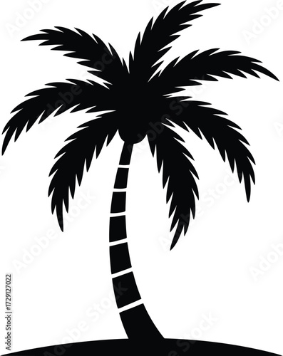 Tropical palm tree silhouette vector black