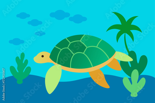 turtle on the beach