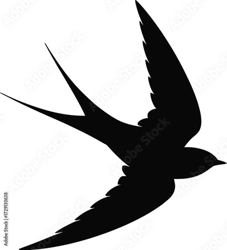 Black silhouette of a swallow in flight bird flying