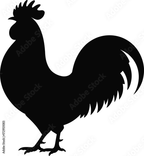 Black rooster silhouette standing bird fowl