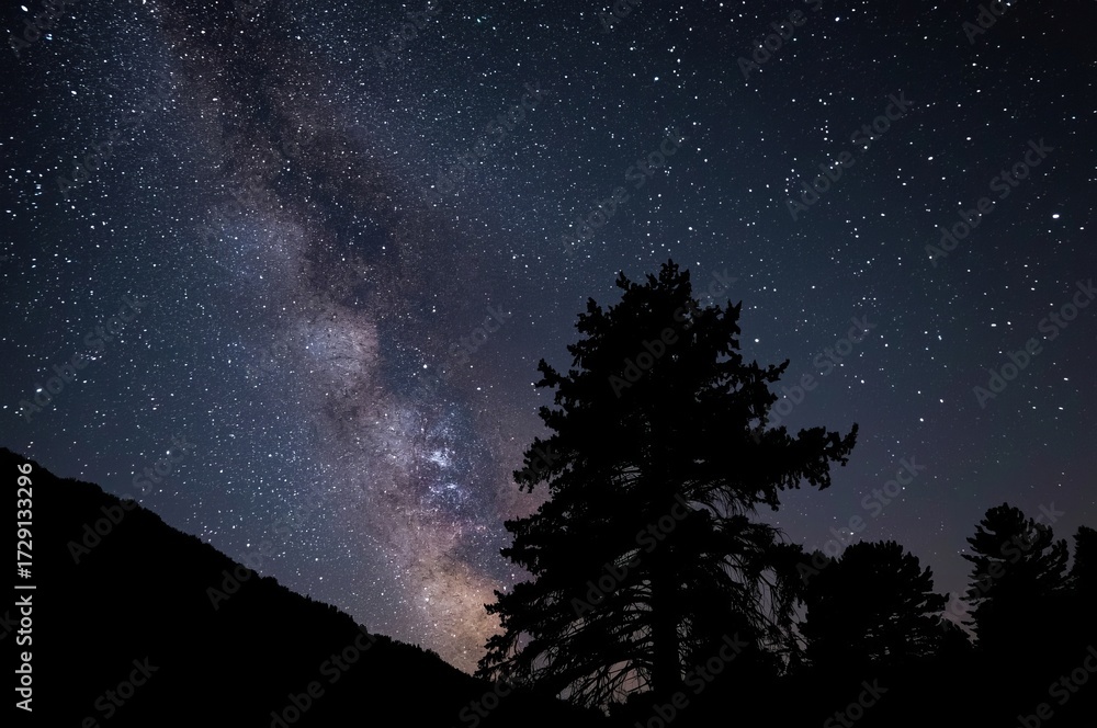 Fototapeta premium A silhouette of a tall tree stands against a breathtaking night sky filled with stars and the glowing band of the Milky Way, creating a serene and awe-inspiring scene.