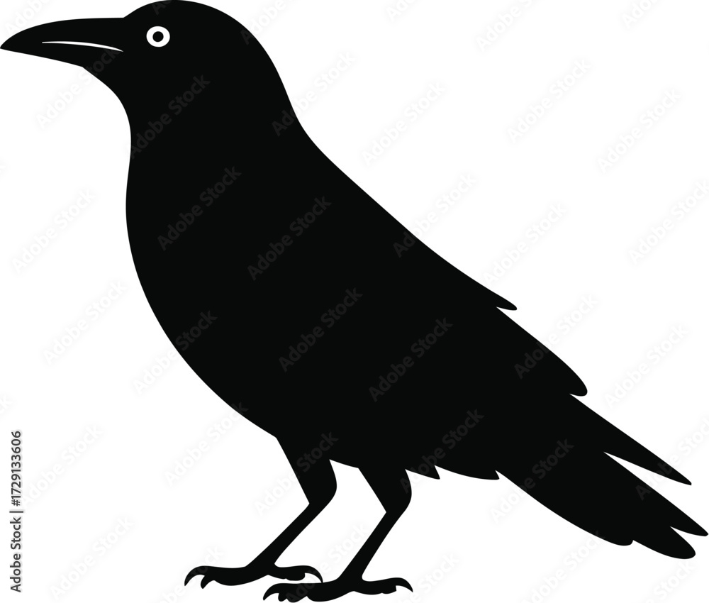 Fototapeta premium Black bird silhouette vector crow