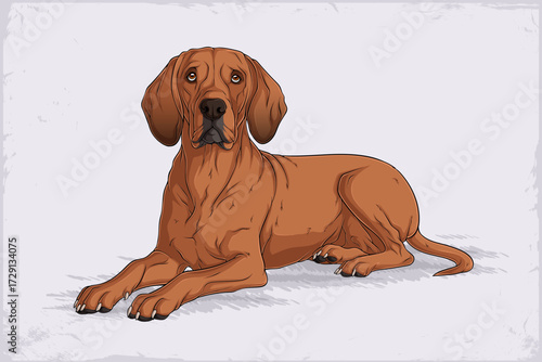 Hand drawn dog breed Redbone Coonhound laying down gracefully, with smooth reddish-brown coat, long ears, expressive eyes, and fine detailed features on a light background