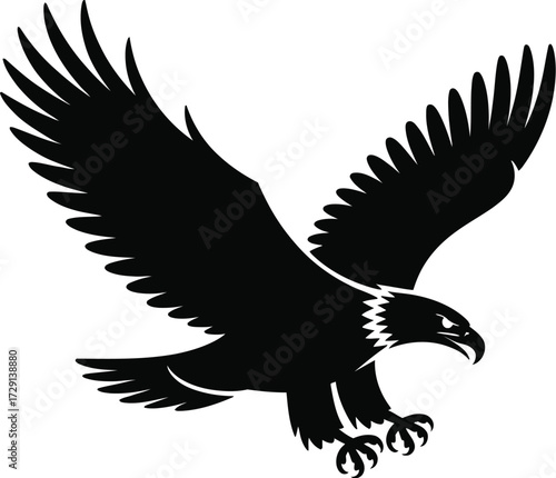 Black eagle in flight bird flying