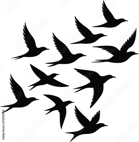 Flock of birds in flight flying silhouette