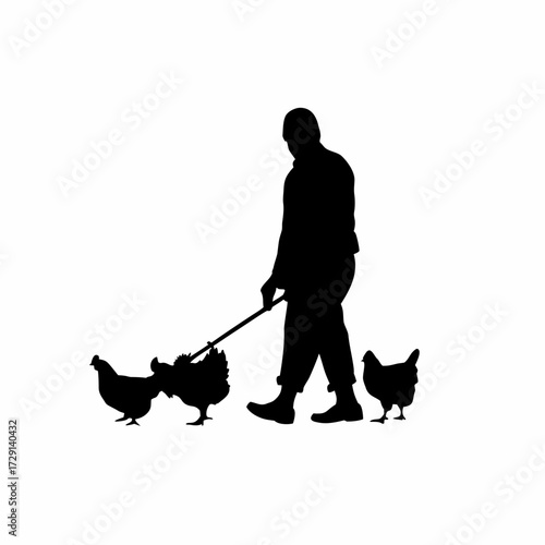 Silhouette of a caretaker guiding chickens into an enclosure isolated on white background
