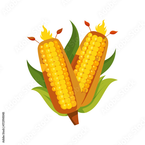 corn on a white background