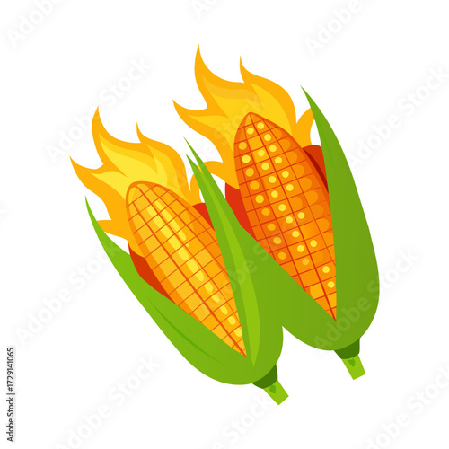 corn on a white background