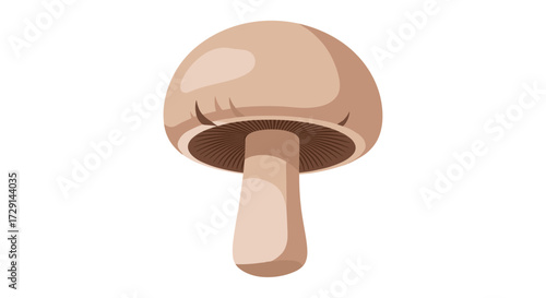 A common edible mushroom with a round cap and thick stem.