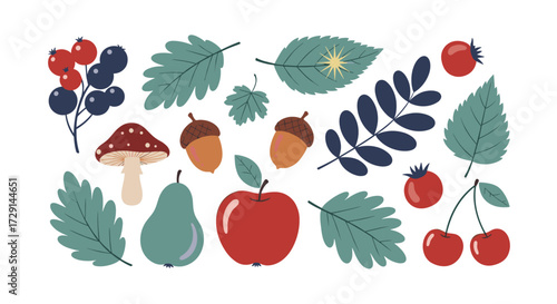 A vibrant collection of autumn fruits leaves and mushrooms for your creative projects.