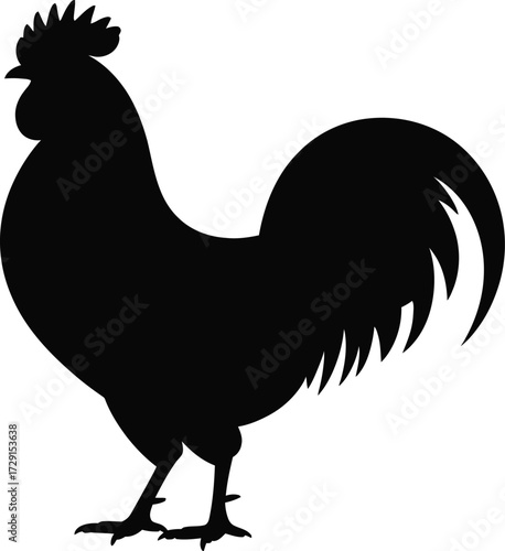Black rooster silhouette bird fowl