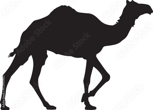 Camel silhouette walking majestically across desert landscape for travel themes